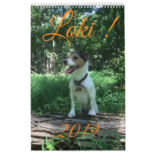 Calendário do Loki 2019
