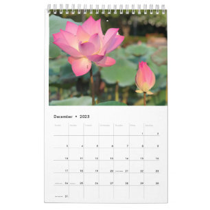 Calendário do Lotus Rosa