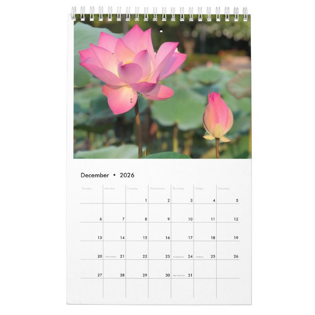 Calendário do Lotus Rosa (Dez 2026)