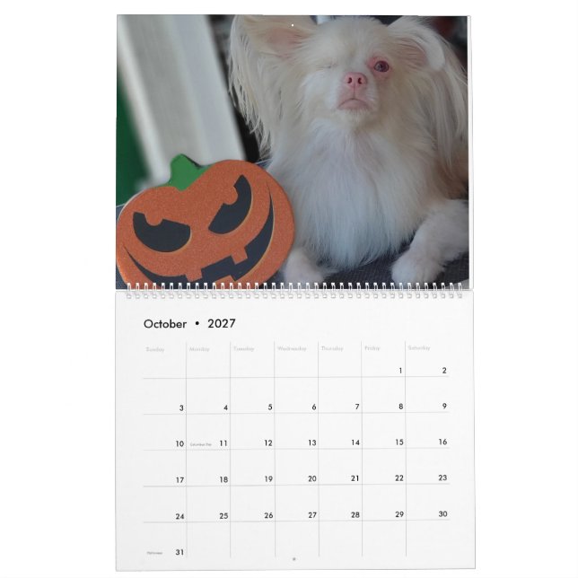 Calendário do Lucky 2020 (Out 2027)