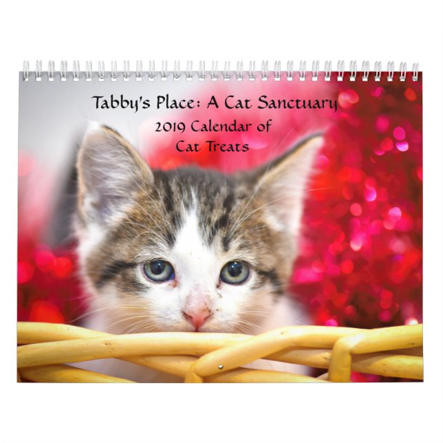 Calendário do lugar do gato malhado (Capa)