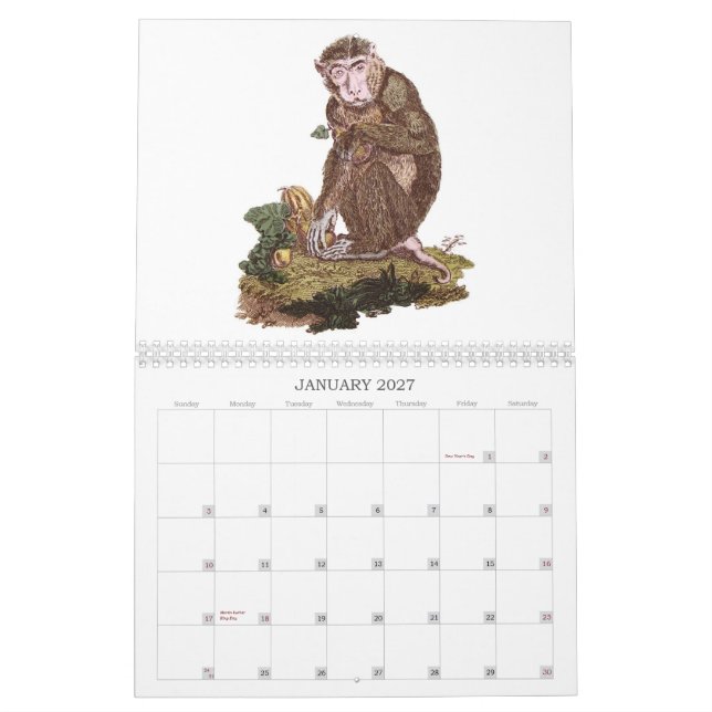 Calendário do macaco (Jan 2027)