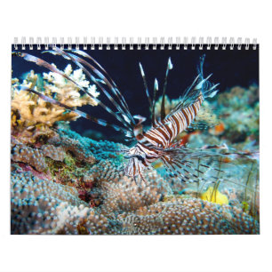 Calendário do mar 2014 coral