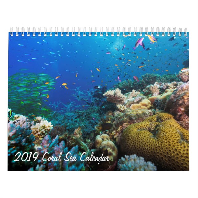 Calendário do mar 2019 coral (Capa)