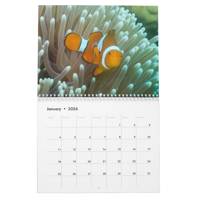 Calendário do Mar de Coral 2023 (Jan 2026)
