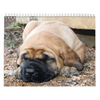 Calendário do Mastiff do sono