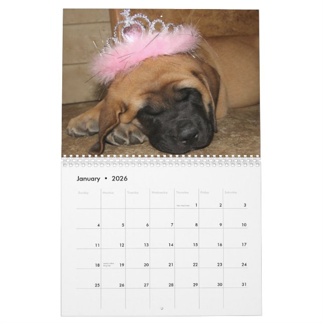 Calendário do Mastiff do sono (Jan 2026)