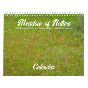 Calendário do Meadow Nature Wildflower