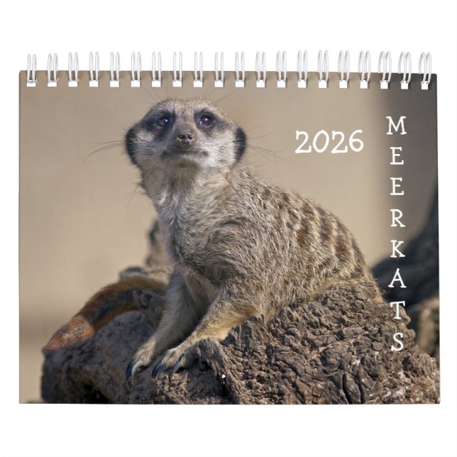 Calendário do Meerkats (Capa)
