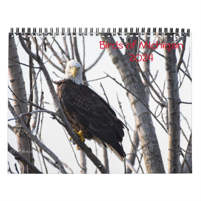 Calendário do Michigan Birds 2024 (Capa)