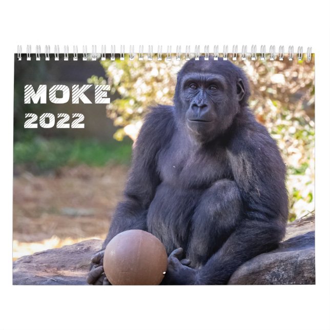 Calendário do Moke 2022 (Capa)