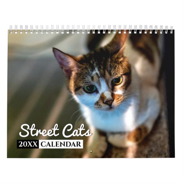 Calendário do Muro de Fotos de Gatos de Rua (Capa)