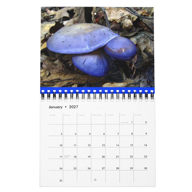 Calendário do Mushroom Rainbow 2012 (Jan 2027)