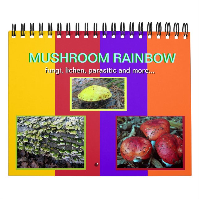 Calendário do Mushroom Rainbow 2014 (Capa)