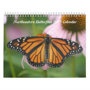 Calendário do nordeste das borboletas 2013