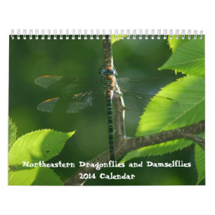 Calendário do nordeste dos Damselflies das