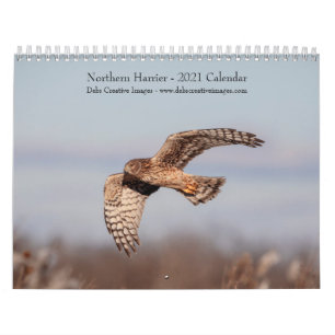 Calendário do Norte Harrier 2021