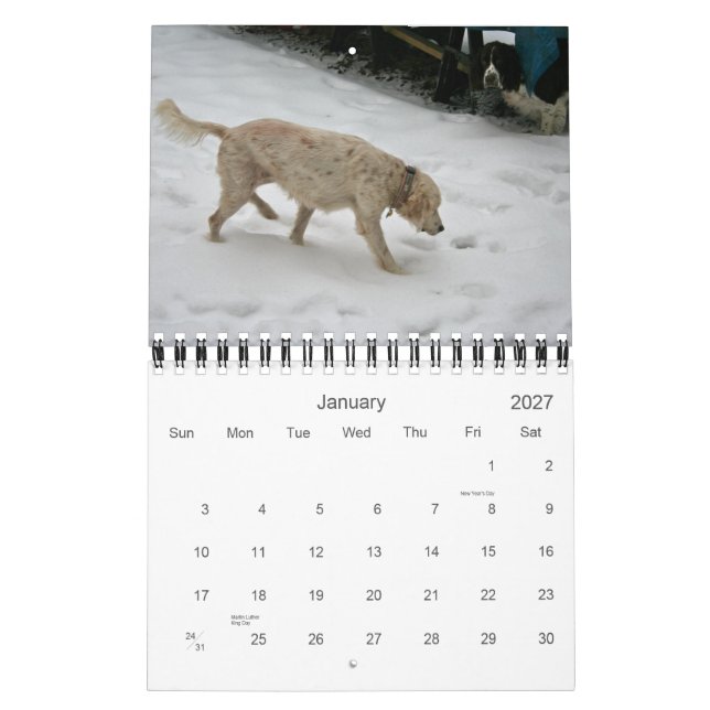 Calendário do nosso Pacote 2012, Pequeno (Jan 2027)