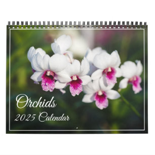 Calendário do Orchids