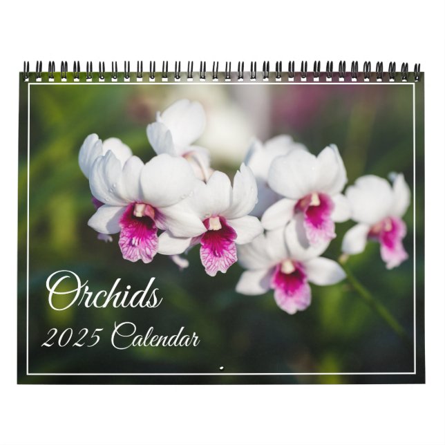Calendário do Orchids (Capa)