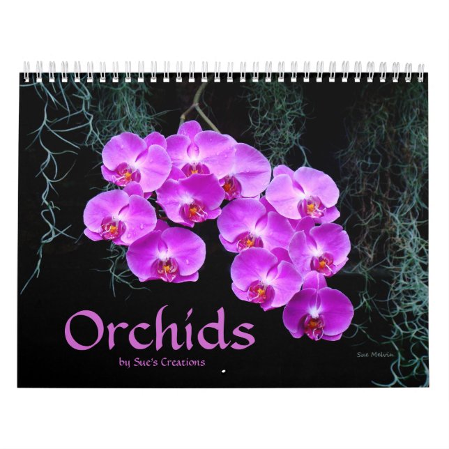 Calendário do Orchids (Capa)