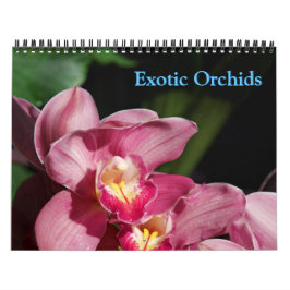 Calendário do Orchids