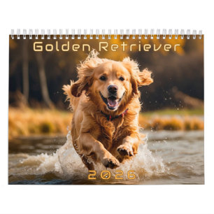 Calendário do Ouro Retriever 2026