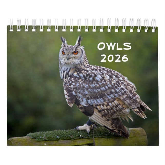 Calendário do Owls (Capa)