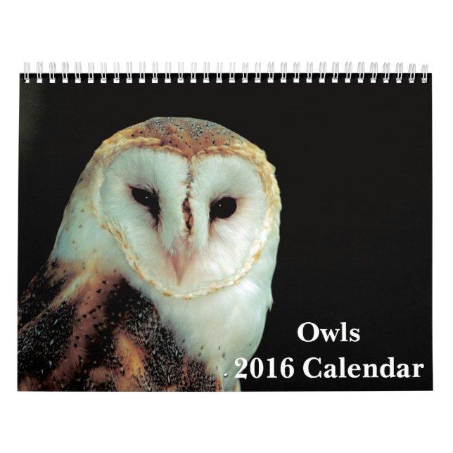 Calendário do Owls 2016 (Capa)
