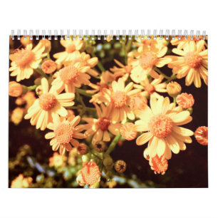 Calendário do País de fazenda