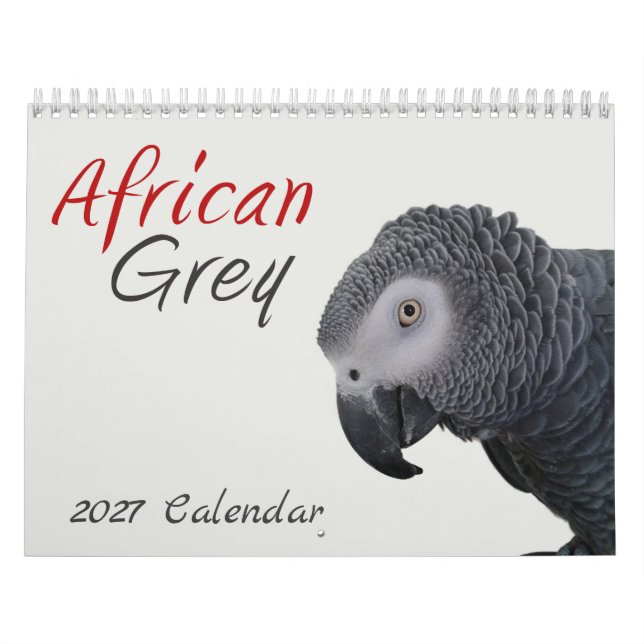 Calendário do Papagaio Cinzento Africano de 2026 (Capa)