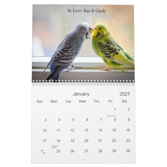Calendário do Parakeet (Jan 2027)