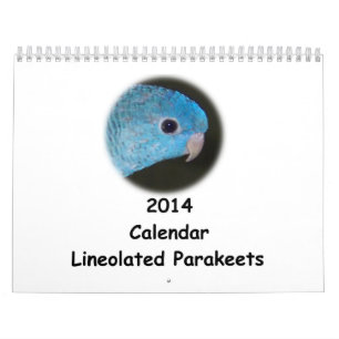 Calendário do Parakeet 2014 de Linnie