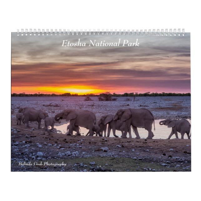 Calendário do Parque Nacional Etosha 2020 (Capa)