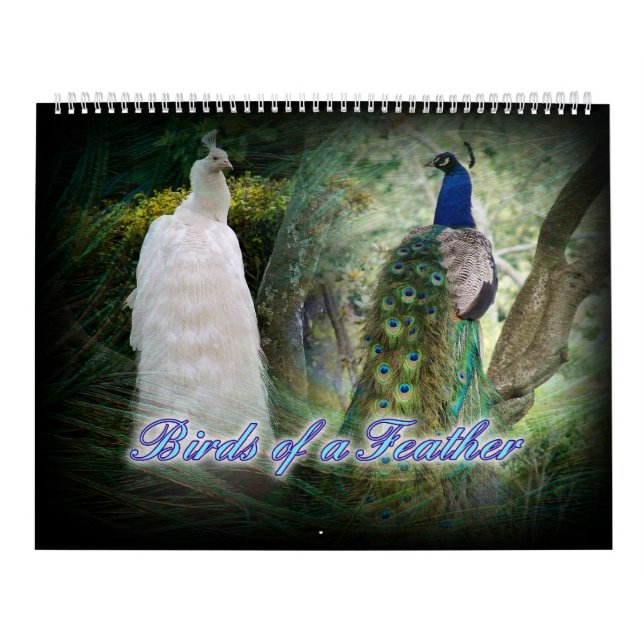 Calendário do pavão do Birds of a Feather (Capa)