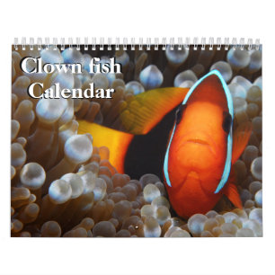 Calendário do Peixe-Palha 2022