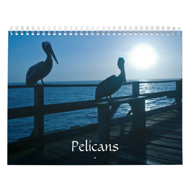 Calendário do pelicano (Capa)