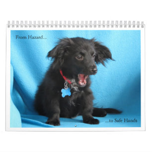 Calendário Do perigo às mãos seguras