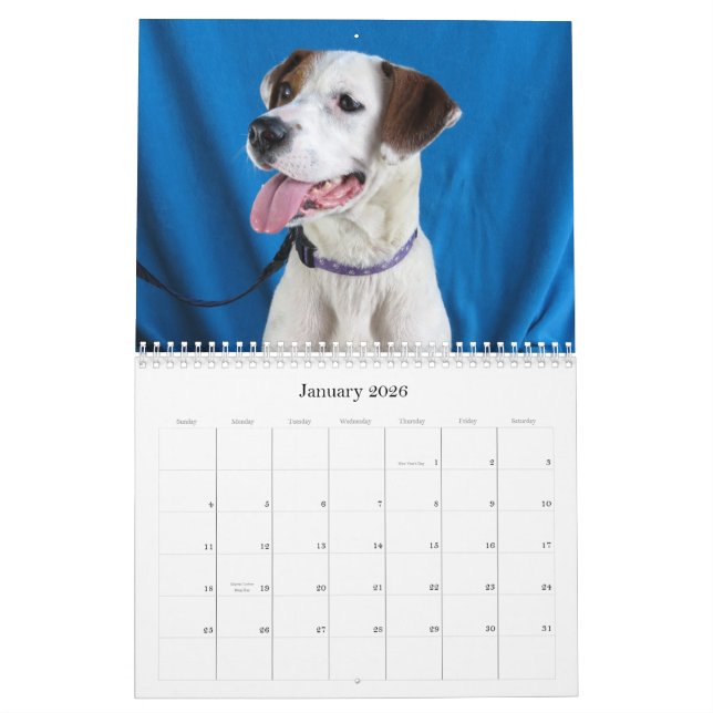 Calendário Do perigo às mãos seguras (Jan 2026)