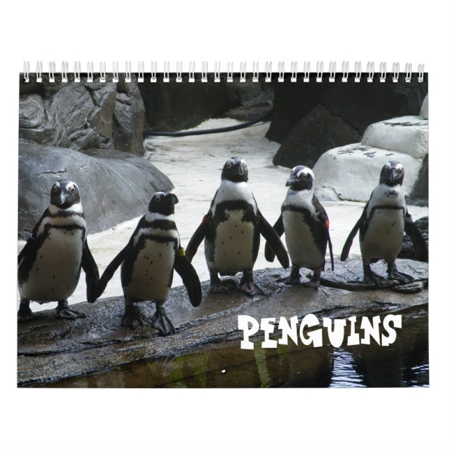 Calendário do Pinguim (Capa)
