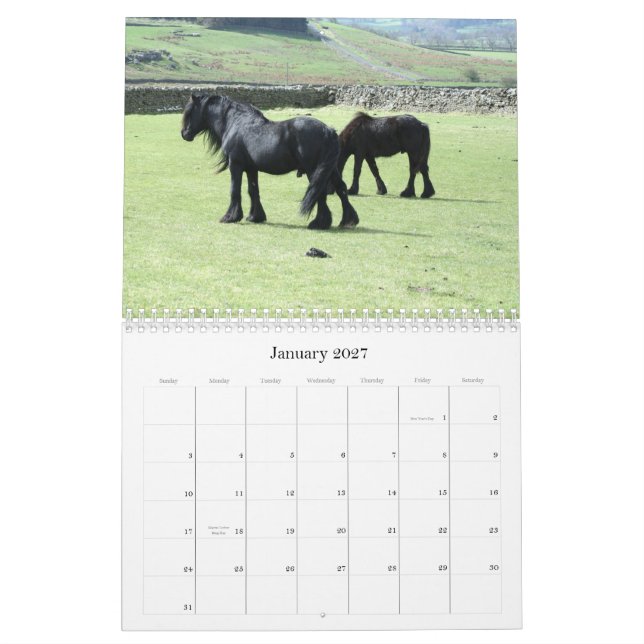 Calendário do pônei 2012 dos Dales (Jan 2027)