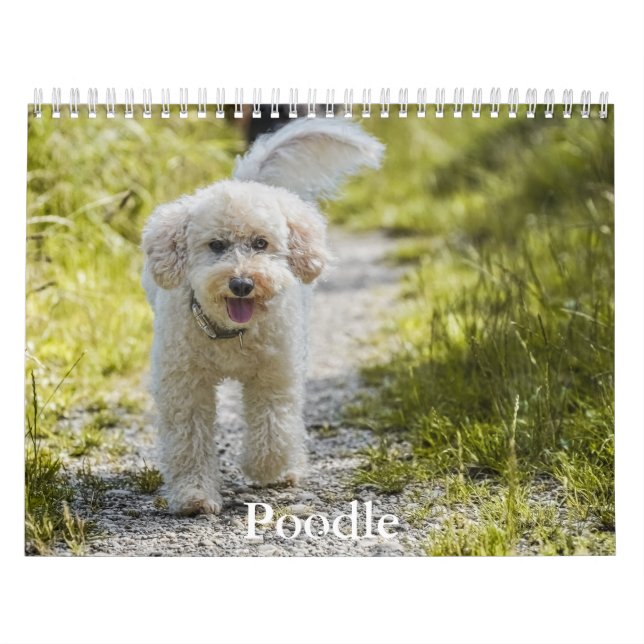 Calendário do Poodle (Capa)