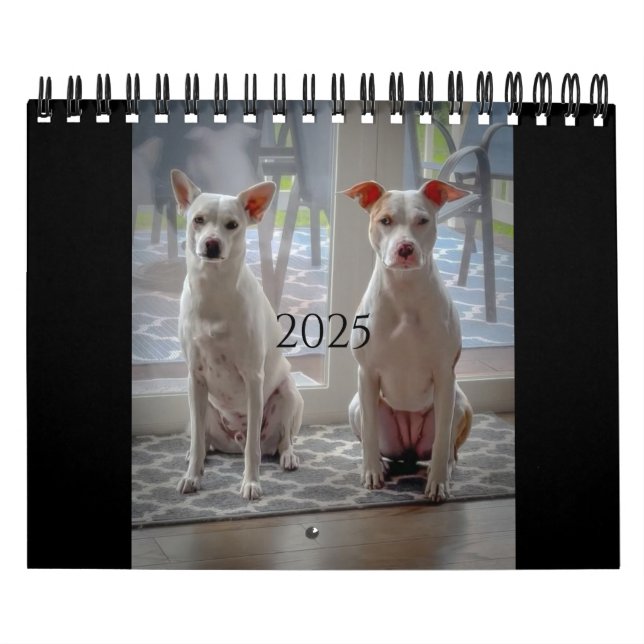 Calendário do Poundcake e Milkshake (Capa)