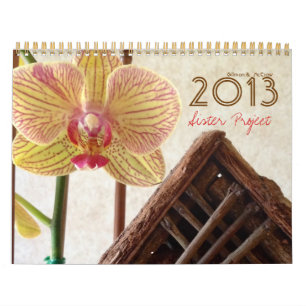 Calendário do Projeto Sister 2013