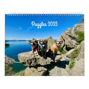 Calendário do Puggle 2025