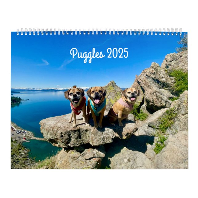 Calendário do Puggle 2025 (Capa)