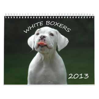 Calendário do pugilista de 2013 brancos