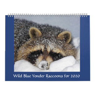 Calendário do Raccoon 2020 da Yonder Azul Selvagem