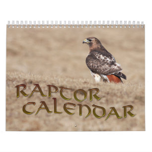 Calendário do raptor
