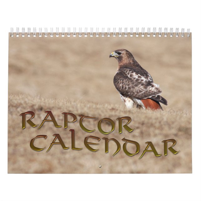 Calendário do raptor (Capa)